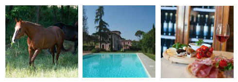 A lezione di equitazione nell’agriturismo “La Canonica”!