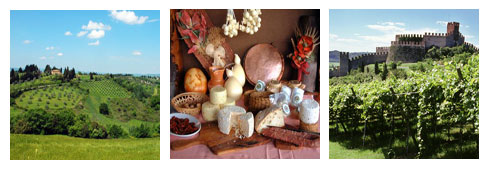 Vacanze in agriturismo sempre più di moda!