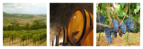 Vieni a degustare il Vino Nobile a …. Montepulciano!