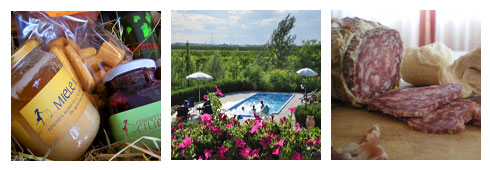 Arte o cucina? Ecco le proposte dell’Agriturismo Corte Carezzabella