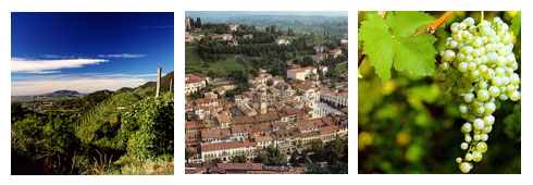 Conegliano: tra arte e buon vino