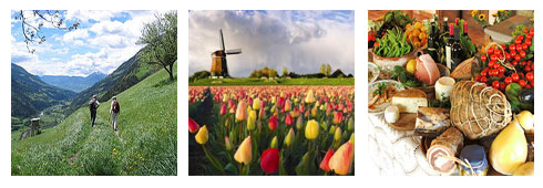 25 Aprile all’aria aperta! Curiosate tra le offerte di Agriturismi.it!