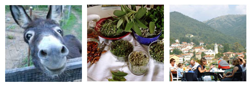 Agriturismo in Liguria: intervista al gestore