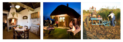 Vacanze in una … Capanna!!!