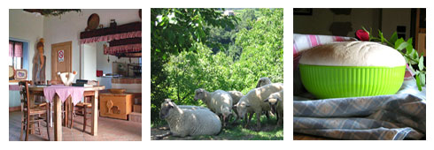 Agriturismo in Veneto: intervista al gestore