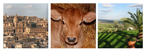 Agriturismo in Sicilia: Intervista al Gestore