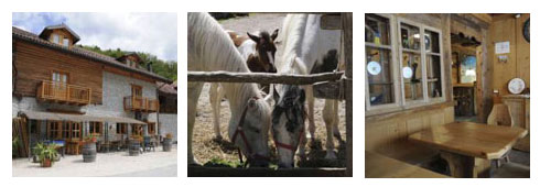 Agriturismo in Trentino-Alto Adige: Intervista al Gestore