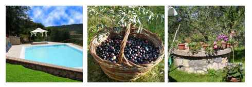 L’agriturismo Il Poggio dell’Artilla… solo per Buongustai!