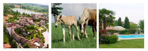 Agriturismo in Lombardia: Intervista al Gestore