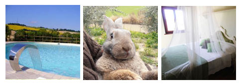 Agriturismo nelle Marche: Intervista al Gestore