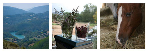 Passeggiate a cavallo nel cuore dell’Umbria