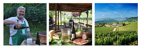 Visitiamo una cantina!