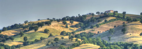 Alla scoperta della Maremma