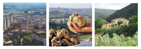 Cercare tartufi in Toscana