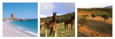 Agriturismo in Sardegna: Intervista al Gestore