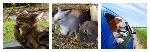 In agriturismo con i nostri animali