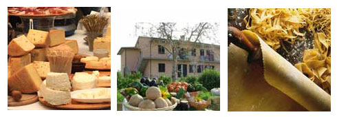 Agriturismi e prelibatezze culinarie