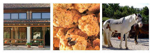 Laboratori e corsi in Veneto