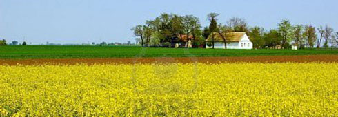 Il primo bilancio dell’estate 2012