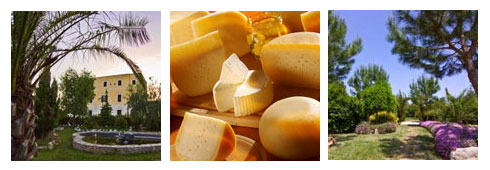 Percorsi didattici in Puglia