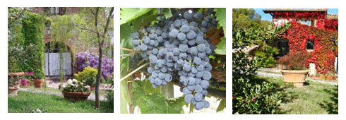 Escursioni in Toscana