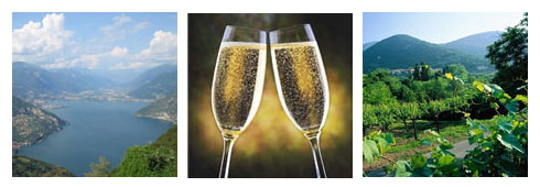 Andiamo in Franciacorta!