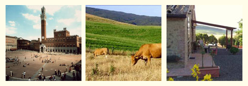 Natale in provincia di Siena