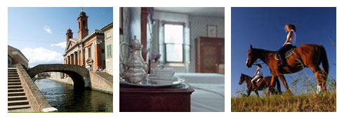 Last minute in provincia di Rovigo