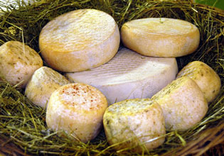 Festival dei Formaggi d’Alpeggio