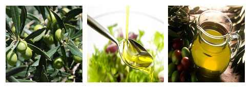 Approvata la legge “Salva Olio”