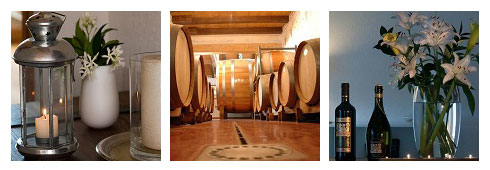 Degustazione di vini in Friuli