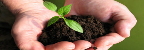 Prodotti eccellenti: le sigle della qualità