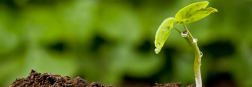 Aumentano le assunzioni nel settore dell’agricoltura