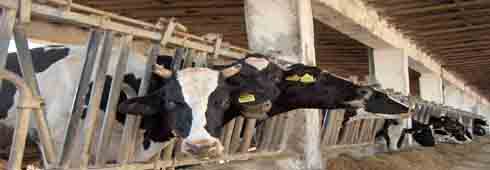 Attività agricole: aumentano le spese