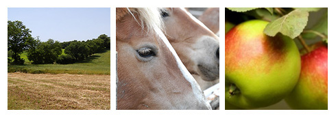 A cavallo nel cuore dell’Umbria