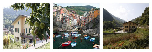 Last minute in Liguria