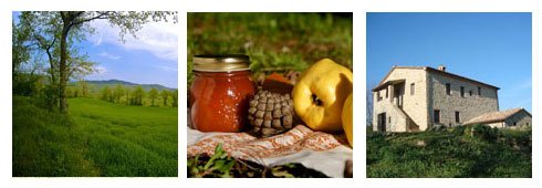 Last minute in Umbria