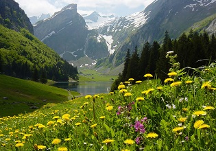 Giornata Mondiale dell’Ambiente