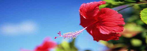 Aziende agricole e formazione