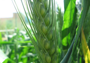 Crescono gli agriturismi in Emilia Romagna