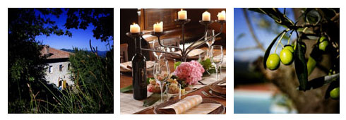 Agriturismo in Toscana: Intervista al Gestore