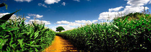 L’agriturismo è un sogno