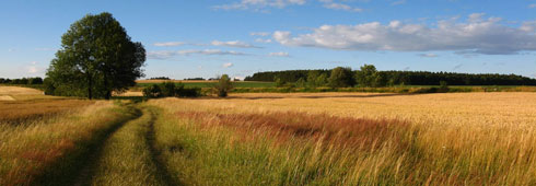 Le aziende agricole sono giovani