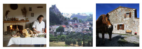 Shiatsu in Toscana