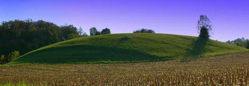 Ossigeno finanziario alle aziende agricole