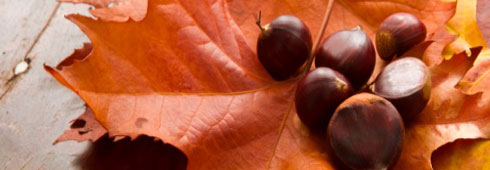 Castagne in tutta Italia