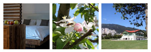 Last minute in Trentino