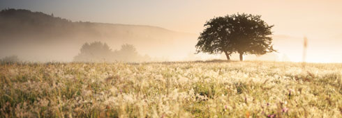 Paesaggi italiani da scoprire