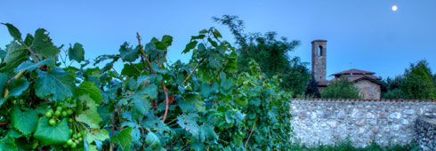 Weekend d’autunno all’insegna dell’enoturismo