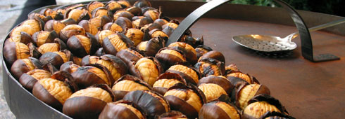 Autunno nel Nord Italia: le tradizioni più gustose tra castagne, vino e altre prelibatezze